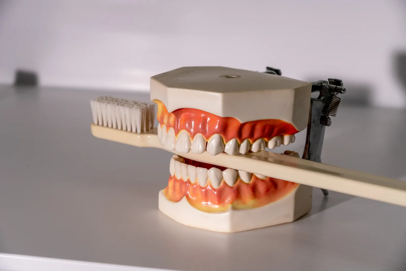 Gabinete de la Clínica Dental Palafrugell